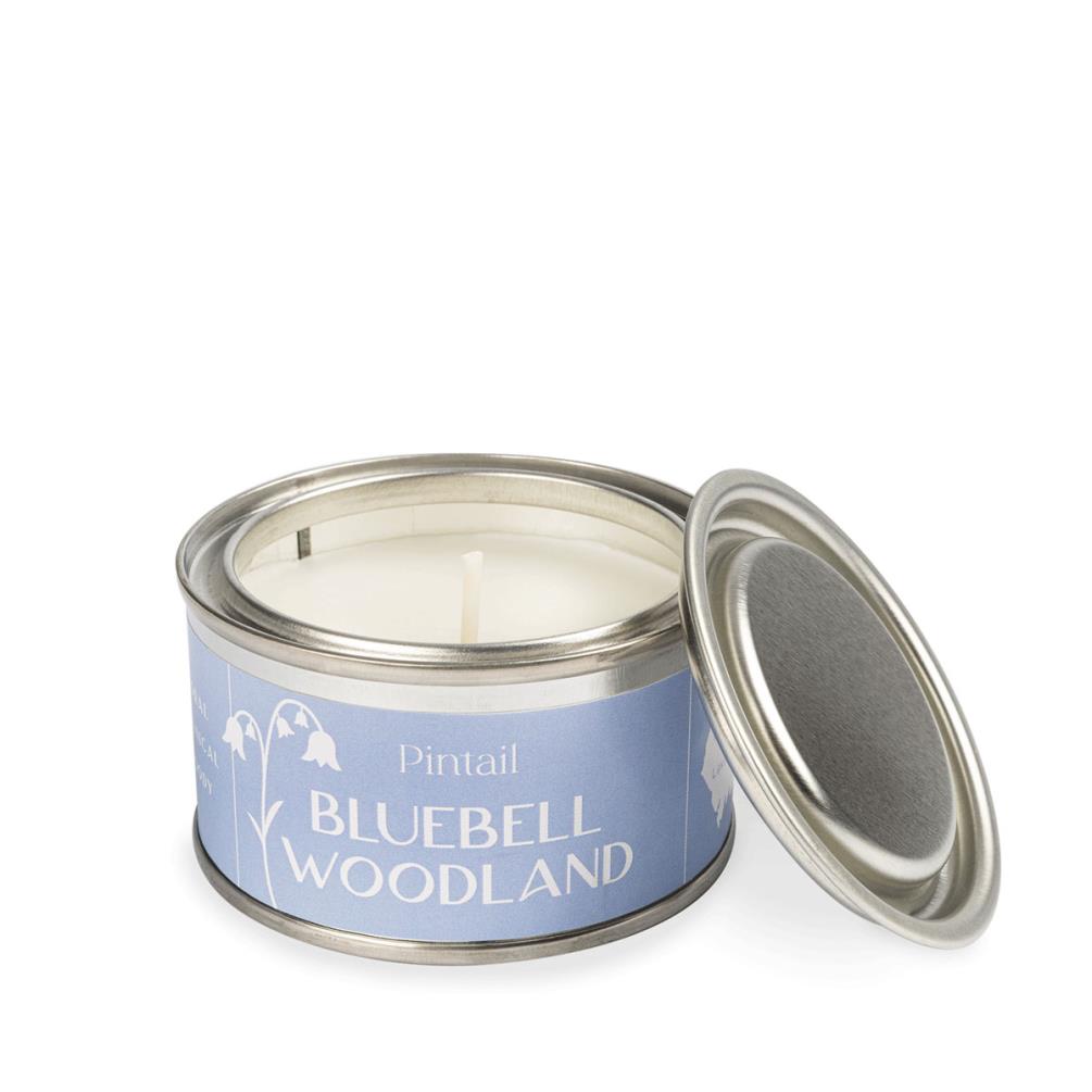 Pintail Candles Bluebell Woodland Paint Pot Candle £5.18